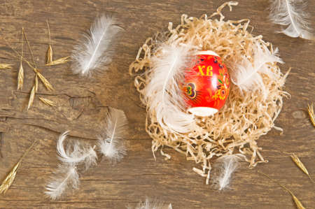 Easter background with red painted easter egg in straw nest with white feathers and spikelets on old wooden board backgroundの写真素材