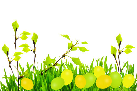 Beautiful Easter background with birch branches with leaves and green and yellow Easter eggs on a...
