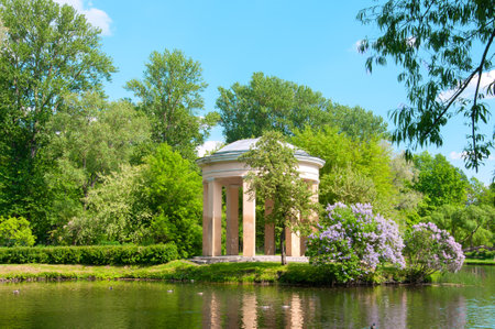 Old gazebo and lilac bushes on the shore of the lake in the city parkの写真素材