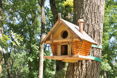 Beautiful wooden bird house in a rustic style on a tree close-up in a city parkの写真素材