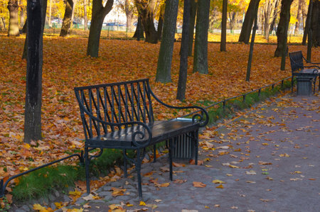 Beautiful metal wooden outdoor bench close-up in the park against the background of autumn bright treesの写真素材