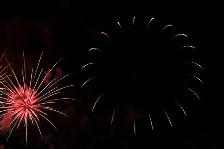 Flashes of white and pink holiday firework against the black sky.