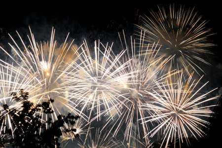 Flashes of white salute fireworks against the black skyの写真素材