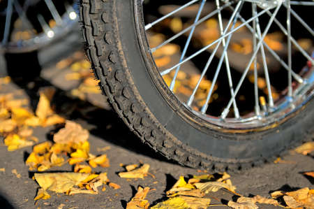 Wheel of a bicycle on the pavement among the autumn leaves. Close upの写真素材