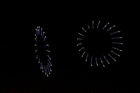 An unusual salute fireworks in the form of petals of blue and white colors in the black night sky