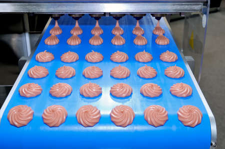 Round brown cookies biscuits on confectionery production.の写真素材