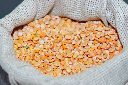 Dried yellow grains of peas in a burlap sack. Dry peas in burlap bag. Shallow depth of fieldの写真素材