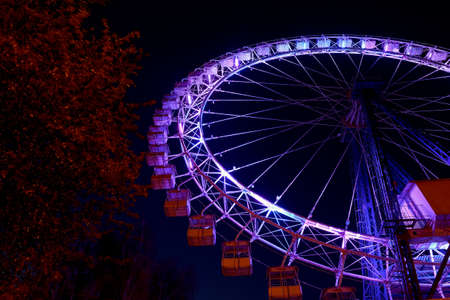 Part of ferris wheel with purple lighting and trees against a night dark skyの写真素材
