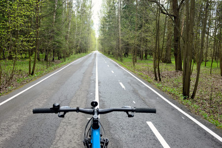 Bike on the bike path in the summer forest. View from the bike to the road going into the distance....