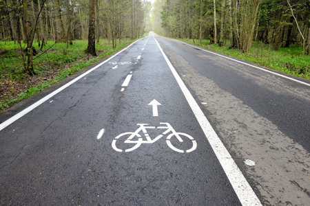 Bicycle lane signage on a street. Bicycle path in the summer forest