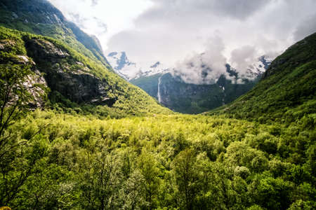 OLDEN, NORWAY - June, 2017. Forest near Briksdalsbreen Glacierのeditorial素材