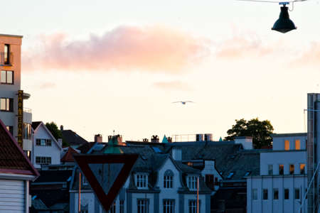 BERGEN, NORWAY - June, 2017. A seagull in flight at sunsetのeditorial素材
