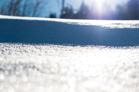 Lights and shadows in the snowの写真素材