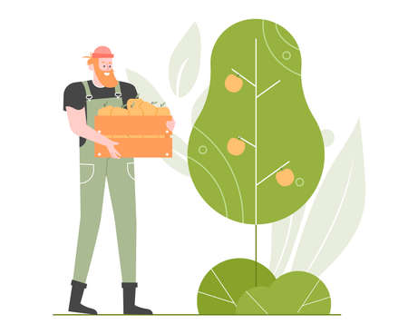 Male character stands by a fruit tree with a box of fresh apples.のイラスト素材