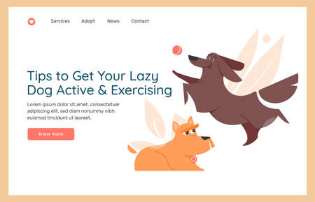 Education and training of dogs. Exercises for a lazy pet.のイラスト素材