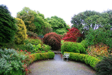 Beautiful garden with trees changing color in autumn focus on chairの写真素材