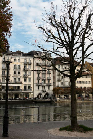 Tree without leaves in Lucerne with Lake Lucerne and bulidings in the backgroundのeditorial素材