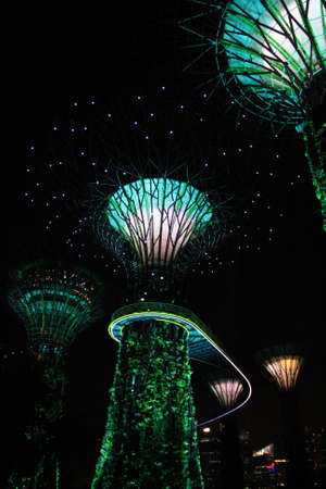Beautiful supertrees lighted up in green lightsのeditorial素材