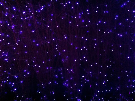 Background with led lights on tree branchesの素材