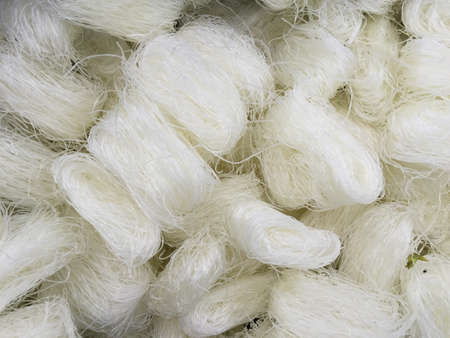 Raw glass noodlesの素材