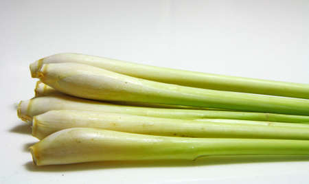 Stalks of Lemongrassの写真素材
