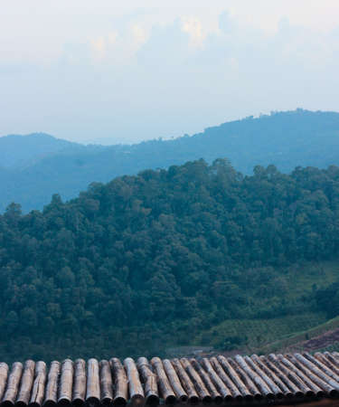 The old bamboo viewpoint is in the countryside with no balcony to prevent accidents on the forest floor.の写真素材