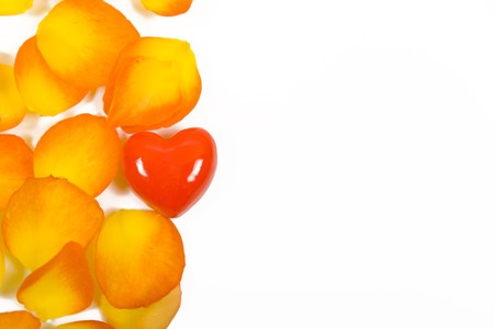  heart with yellow rose petals on white backgroundの写真素材