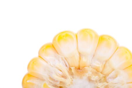 close up on a sliced piece of yellow cornの写真素材