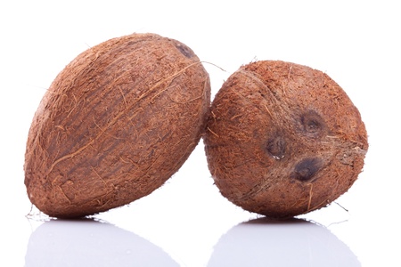 two coconuts leaning on eachother on white backgroundの写真素材