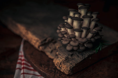 pleurotus mushrooms tree on top of very old chopping board, vintage overall look on a rustic table...