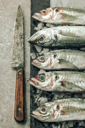 freshness concept illustrated by white fish on black cutting board with ice cubes and old rusty knifeの写真素材