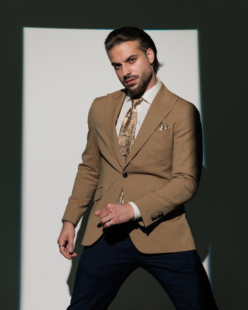 sexy cool businessman in brown suit holding arms in fashion pose and posing in front of window shadow on grey backgroundの写真素材