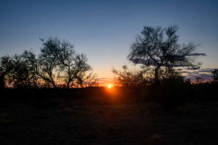 Sunset in the Arizona desert going down between two treesの写真素材