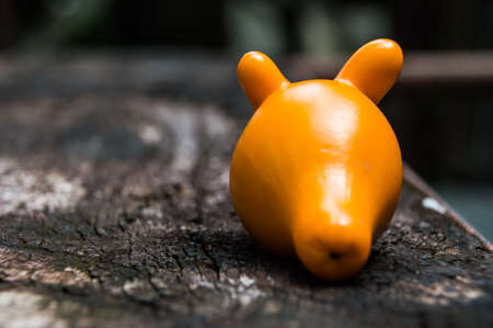 Yellow tomato on wood tableの写真素材