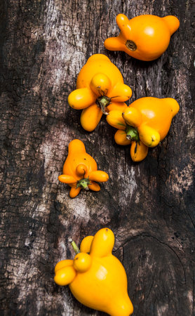 Yellow tomato on wood tableの写真素材