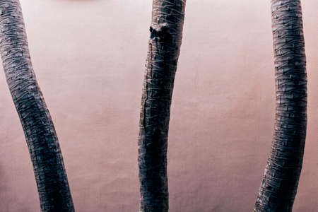 peaceful placeの写真素材