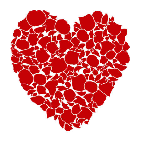 rose of love on white backgroundのイラスト素材