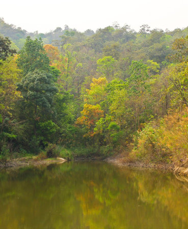 Natureの写真素材