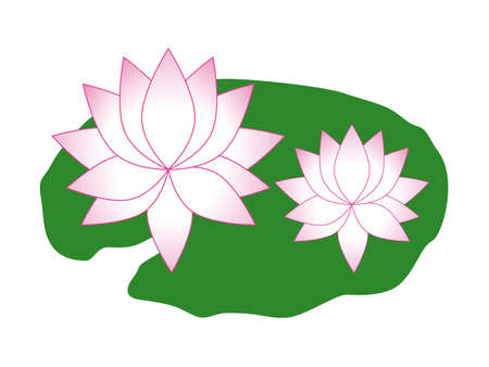 Lotusのイラスト素材