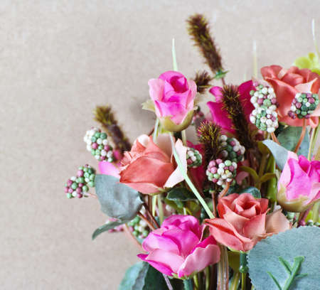 Rose flower の写真素材