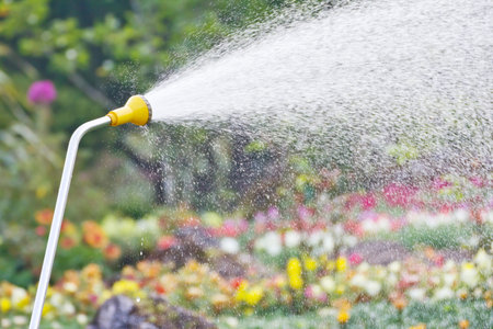 Watering in the gardenの写真素材