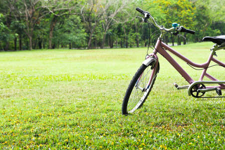 Bicycle in the parkの写真素材