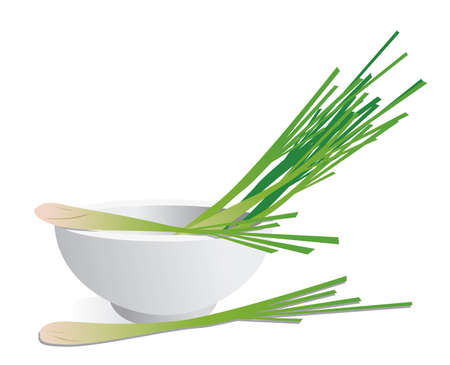 Lemon grassのイラスト素材