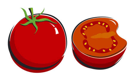 Tomato isolatedのイラスト素材