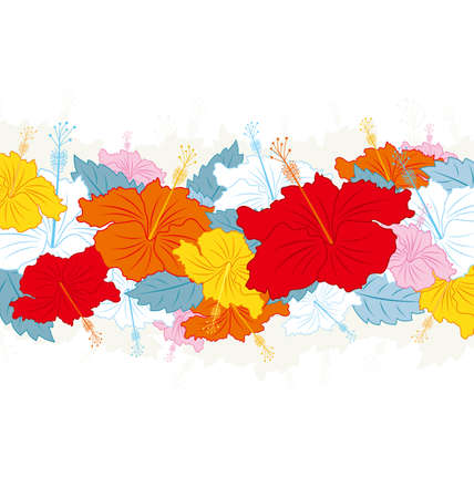 Hibiscus flowers on white backgroundのイラスト素材