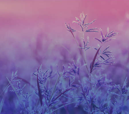 Nature background の写真素材