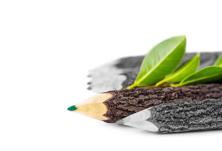 Pencil branches on white background. Think green.の写真素材