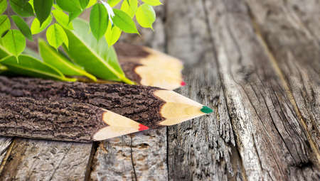 Pencil branches on wooden backgroundの写真素材