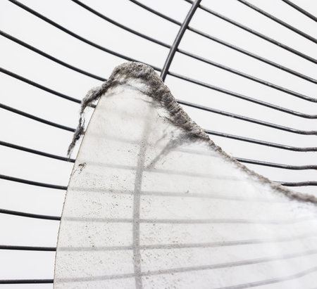 Dirty dusty fan