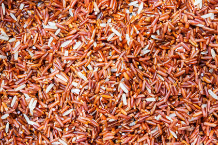 Brown riceの写真素材